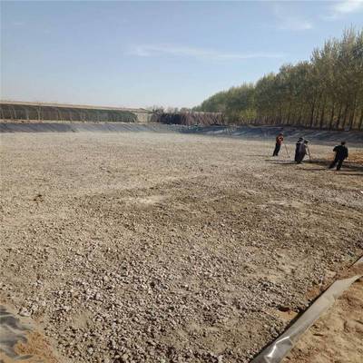 安徽水渠土工膜合成防水材料