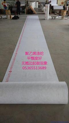 供应天元国标1.5mm屋顶防水卷材 专业生产 质量第一图片,供应天元国标1.5mm屋顶防水卷材 专业生产 质量第一图片大全,潍坊天元防水材料-