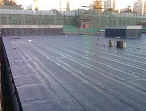 防水材料_防水材料供货商_供应沈阳防水材料|沈阳防水材料生产沈阳防水材料沈阳防水材料生产_防水材料价格_沈阳龙宫防水材料工程