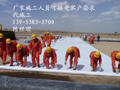 安康塑料防水板经销商EVA PVC_建筑材料栏目