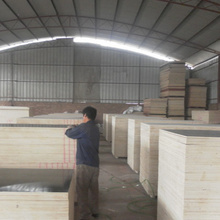 昌乐三元建筑模板厂_木板材_昌乐三元建筑模板厂批发_昌乐三元建筑模板厂供应_阿里巴巴