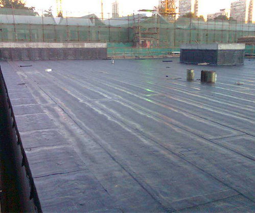 德高防水涂料生产厂家 宋河镇德高防水涂料 钟祥仝仝建设工程